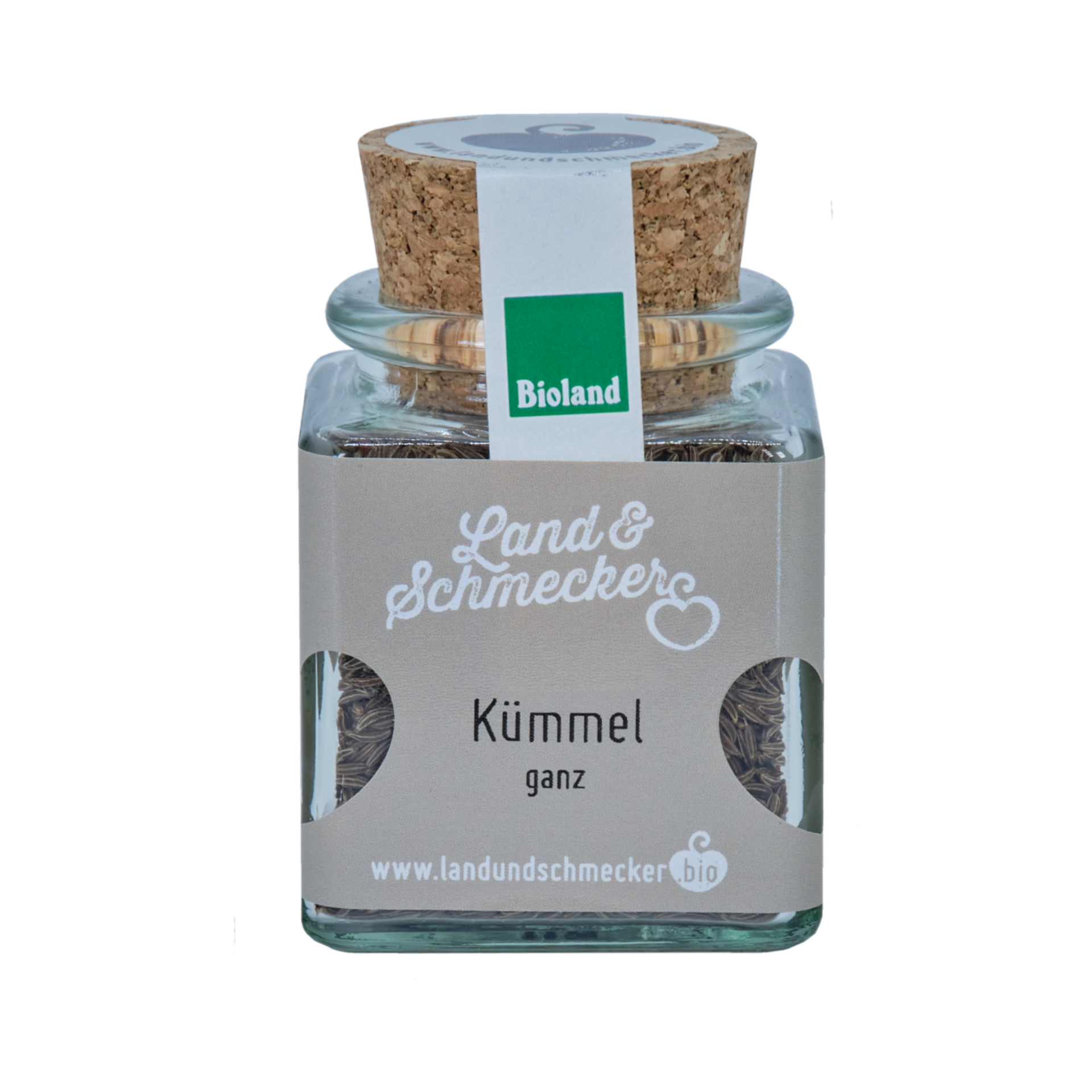Kümmel